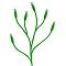 Internet Farmer Logo